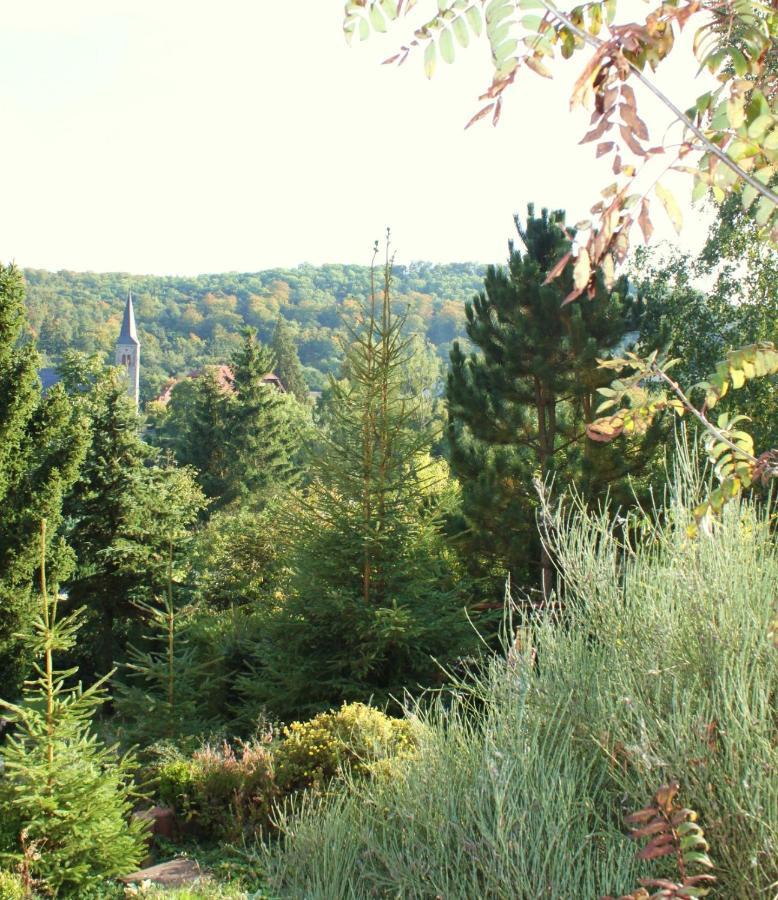Ferienhaus Harzblick Guntersberge ภายนอก รูปภาพ