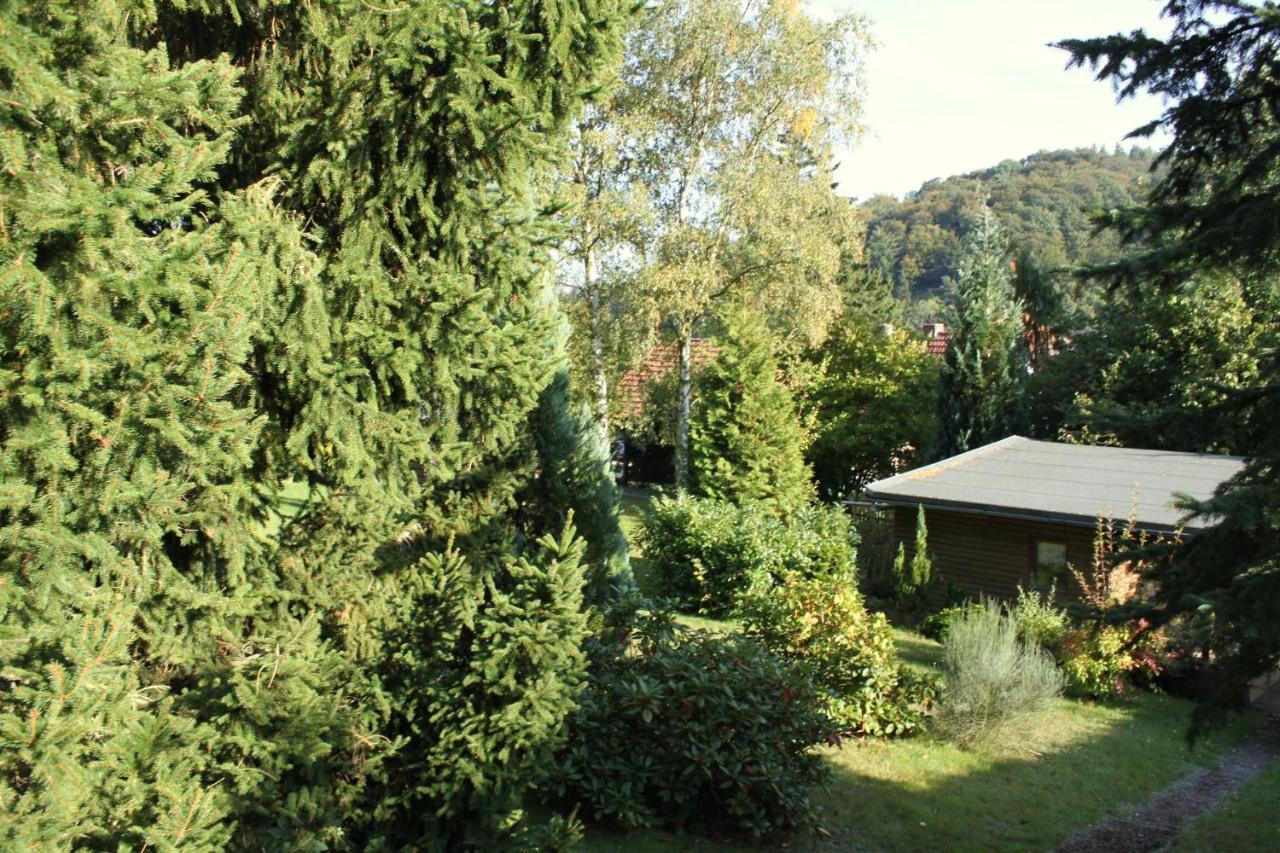 Ferienhaus Harzblick Guntersberge ภายนอก รูปภาพ